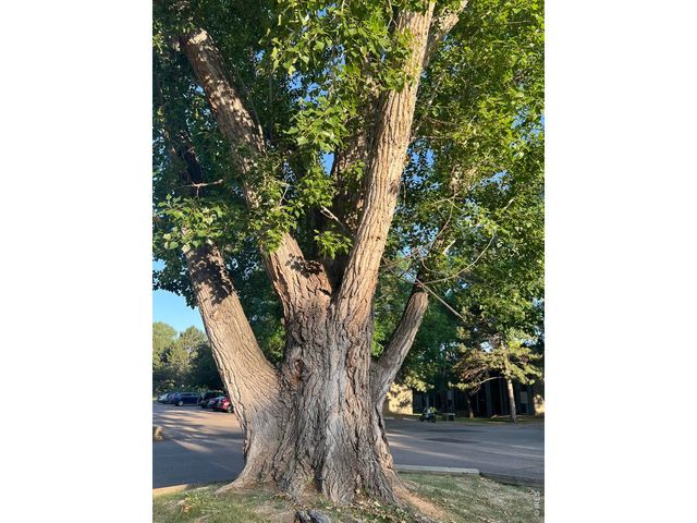 925 Columbia Rd 813, Fort Collins, CO 80525