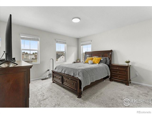 1049 Urial Drive, Severance, CO 80550