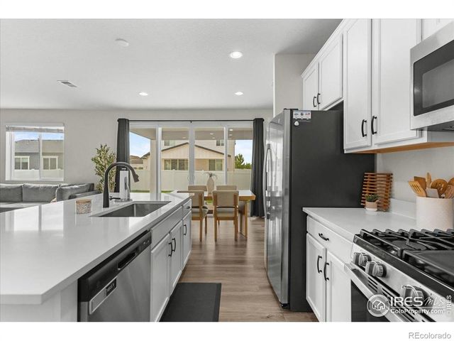 1049 Urial Drive, Severance, CO 80550