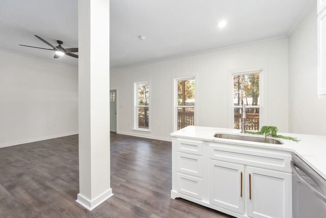 67 Dunhill Ct, Counce, TN 38326