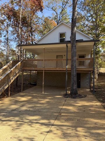 67 Dunhill Ct, Counce, TN 38326