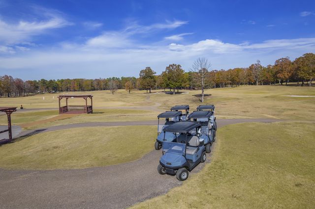 67 Dunhill Ct, Counce, TN 38326