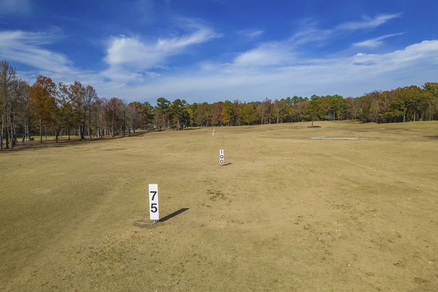 67 Dunhill Ct, Counce, TN 38326