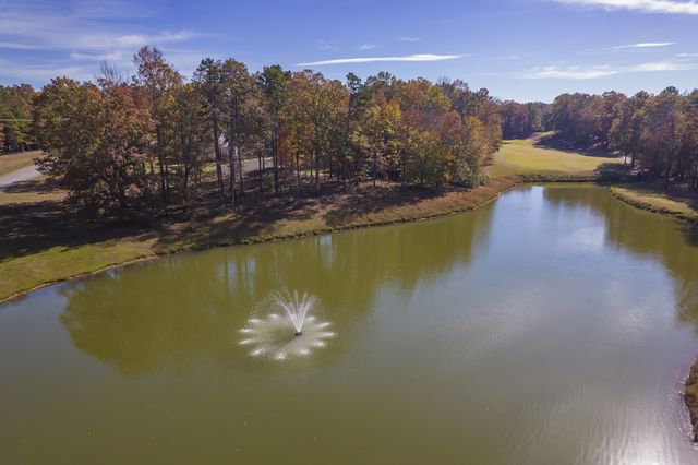 67 Dunhill Ct, Counce, TN 38326