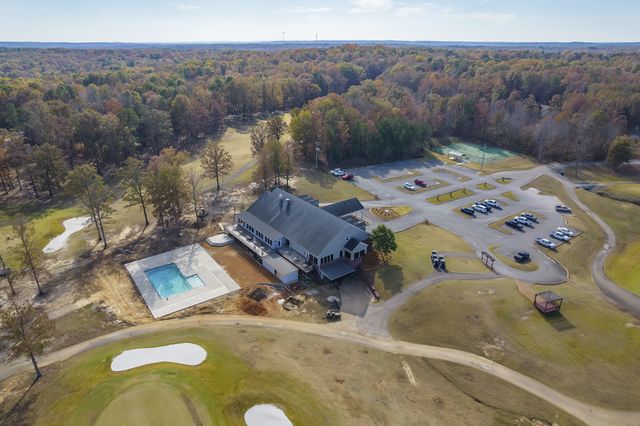 67 Dunhill Ct, Counce, TN 38326