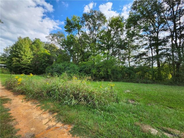 1365 Panola Parkway 34, Aliceville, AL 35442