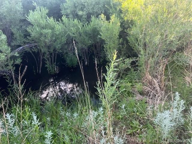 Lot 2950 Motley Road, Fort Garland, CO 81133