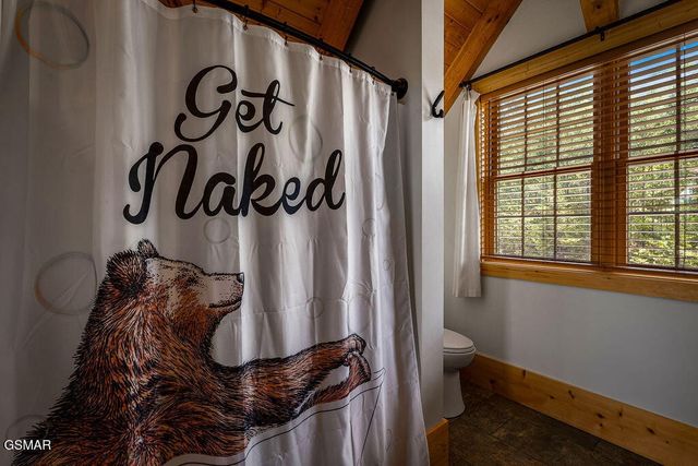 335 Hawken Drive, Walland, TN 37886