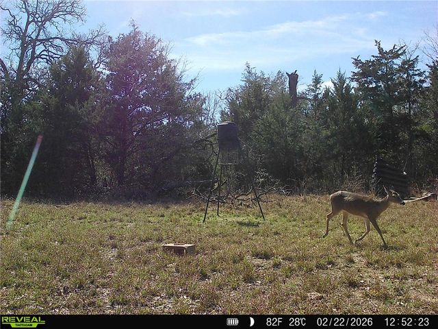 12863 Emu Lane, North Zulch, TX 77872