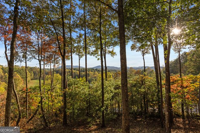 5240 Squirrel Hunting Road, Morganton, GA 30560