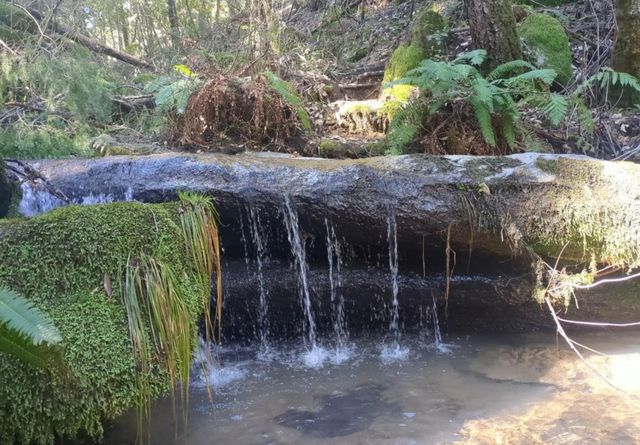 15528 Ca-49, Camptonville, CA 95922