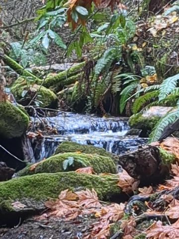 15528 Ca-49, Camptonville, CA 95922