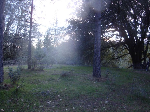 15528 Ca-49, Camptonville, CA 95922