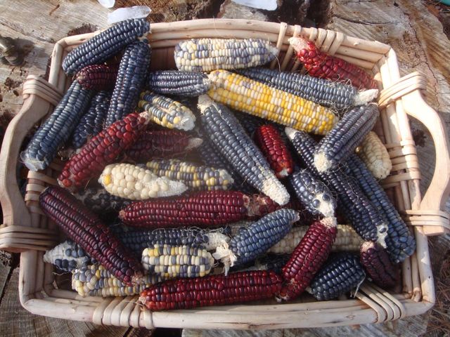 15528 Ca-49, Camptonville, CA 95922