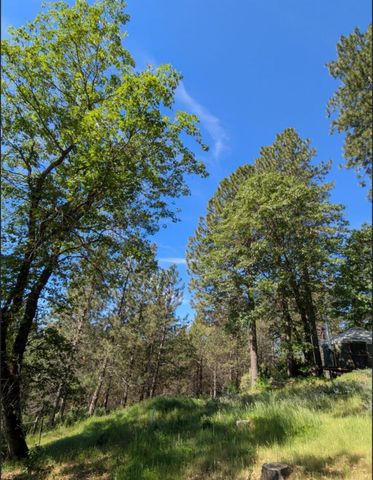 15528 Ca-49, Camptonville, CA 95922