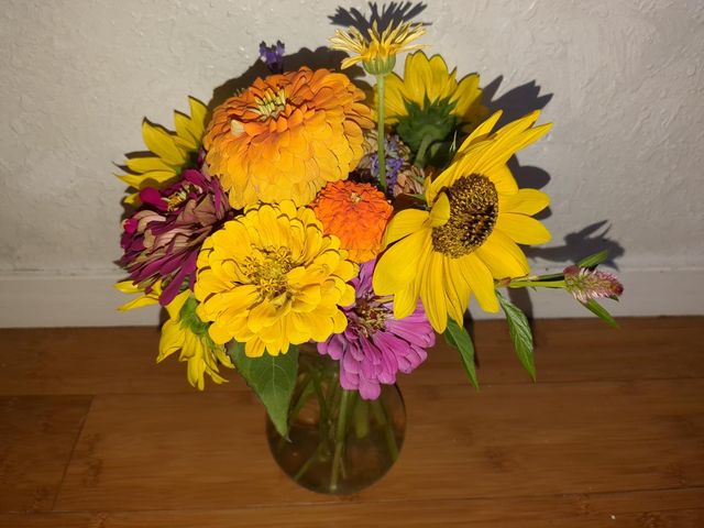 15528 Ca-49, Camptonville, CA 95922