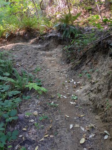 15528 Ca-49, Camptonville, CA 95922