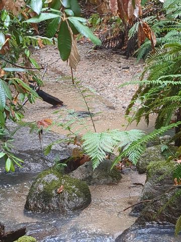 15528 Ca-49, Camptonville, CA 95922