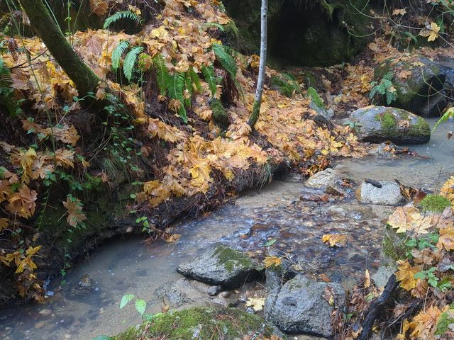 15528 Ca-49, Camptonville, CA 95922