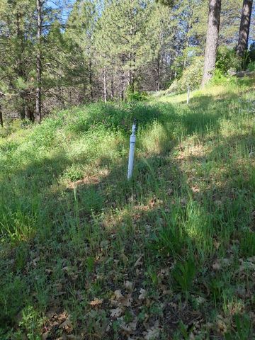 15528 Ca-49, Camptonville, CA 95922