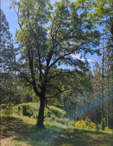 15528 Ca-49, Camptonville, CA 95922