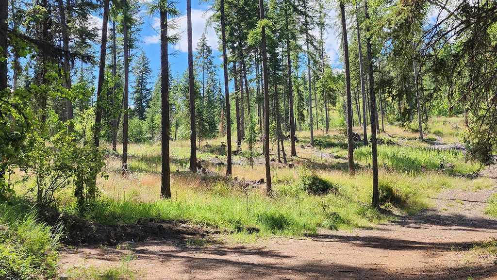 nhn S Ashley Lake Road, Kalispell, MT 59901 photo 16