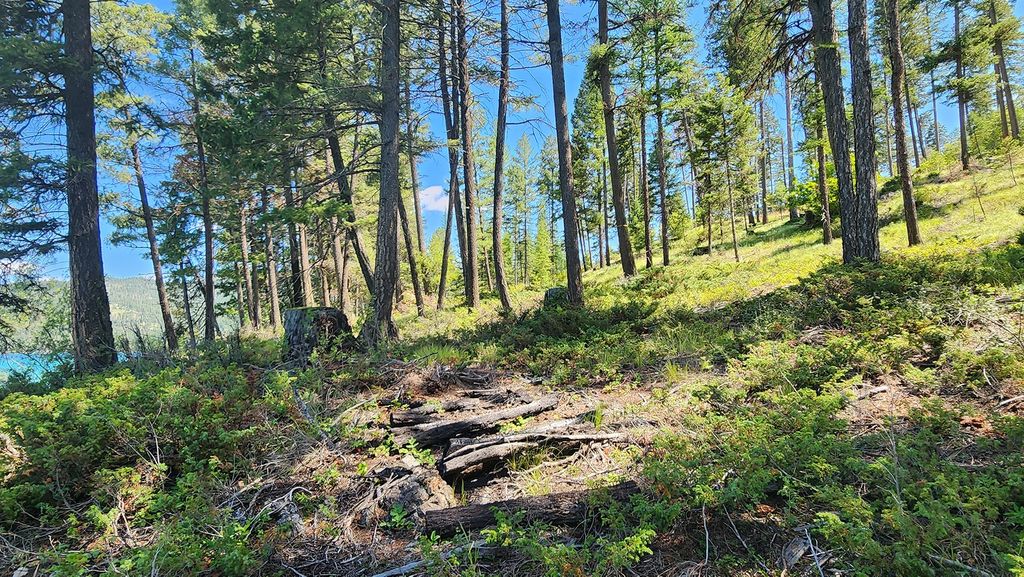 nhn S Ashley Lake Road, Kalispell, MT 59901 photo 17