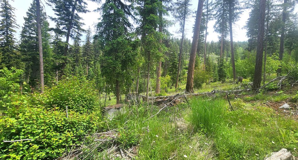 nhn S Ashley Lake Road, Kalispell, MT 59901 photo 18