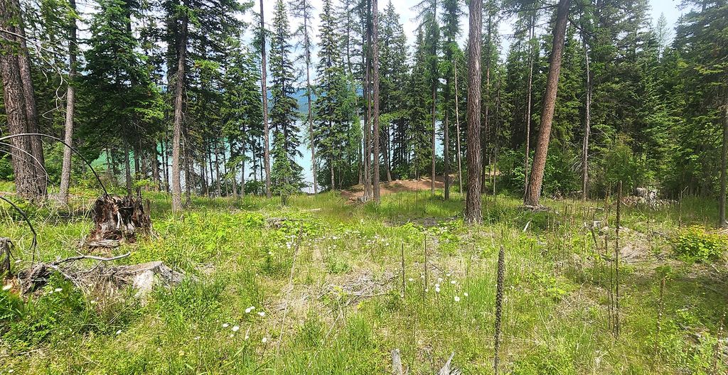 nhn S Ashley Lake Road, Kalispell, MT 59901 photo 19