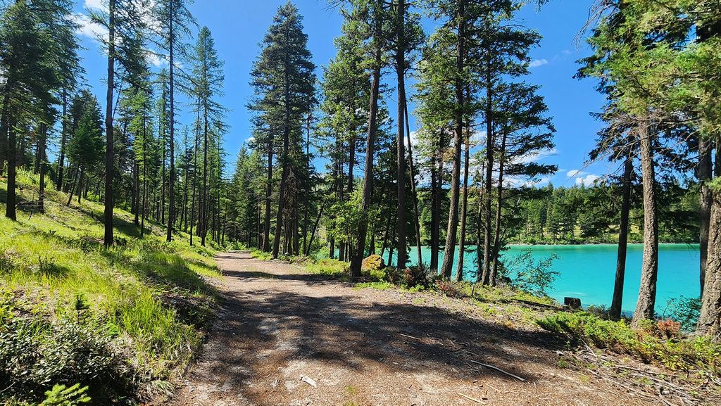 nhn S Ashley Lake Road, Kalispell, MT 59901 photo 20