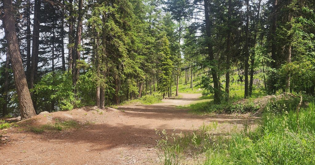 nhn S Ashley Lake Road, Kalispell, MT 59901 photo 21