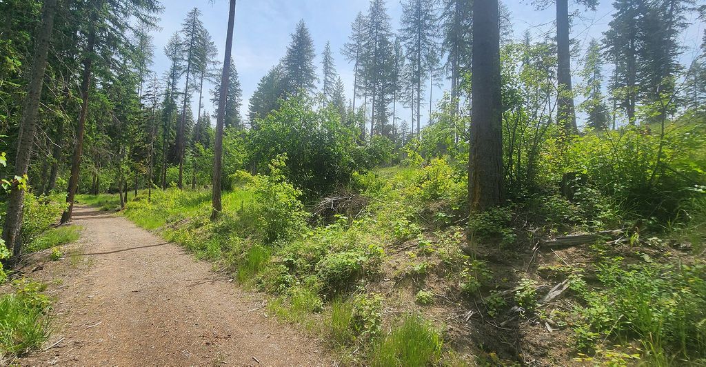 nhn S Ashley Lake Road, Kalispell, MT 59901 photo 22