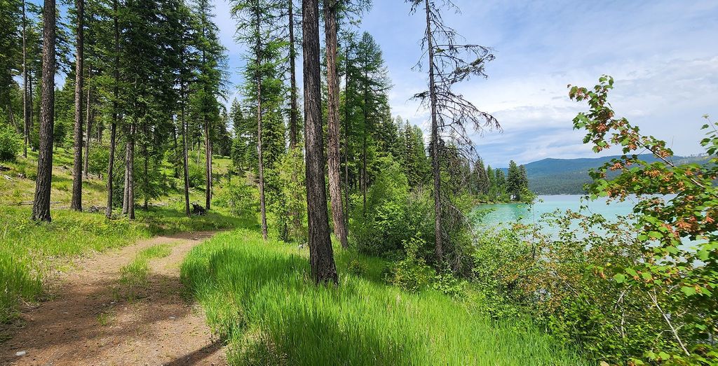 nhn S Ashley Lake Road, Kalispell, MT 59901 photo 23