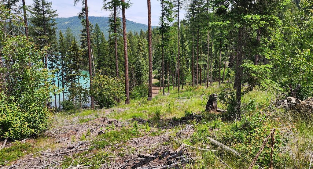 nhn S Ashley Lake Road, Kalispell, MT 59901 photo 25