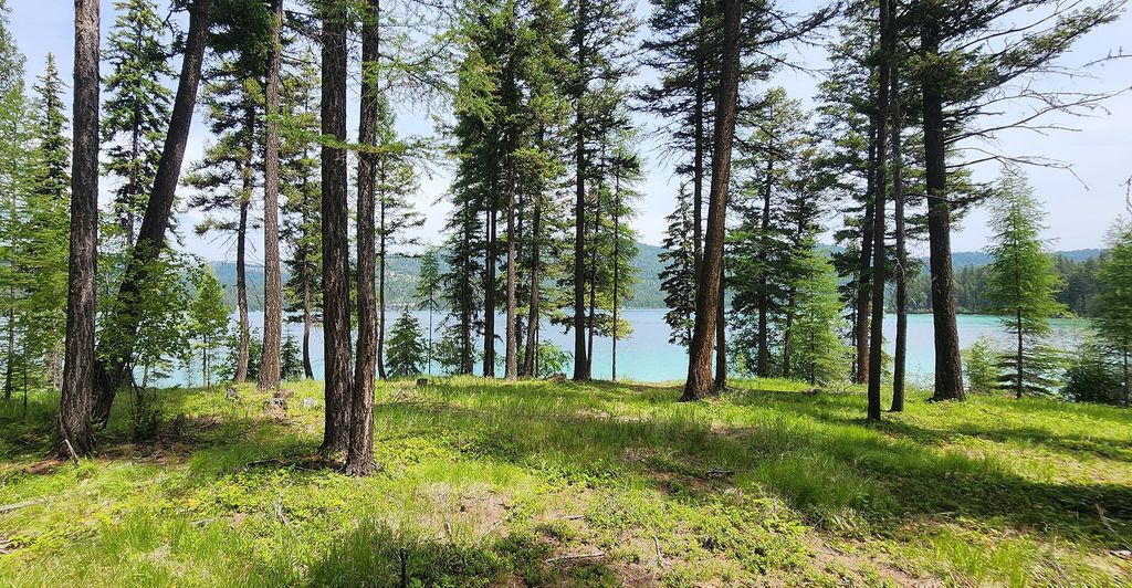 nhn S Ashley Lake Road, Kalispell, MT 59901 photo 26