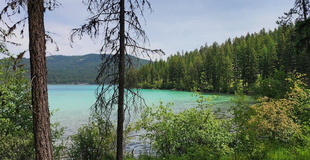 nhn S Ashley Lake Road, Kalispell, MT 59901 photo 27