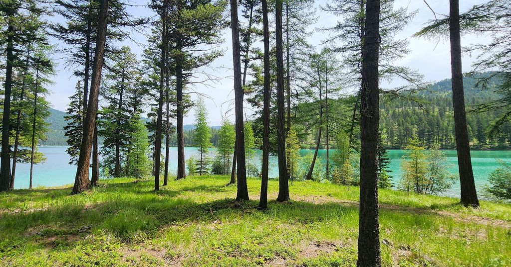 nhn S Ashley Lake Road, Kalispell, MT 59901 photo 8