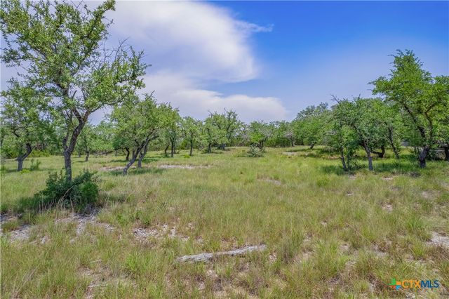 1552 Lake Ridge Boulevard, Canyon Lake, TX 78133