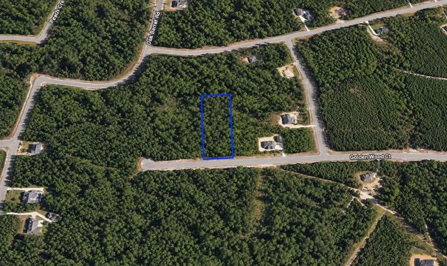 16302 Golden Wood Court, Willis, TX 77378