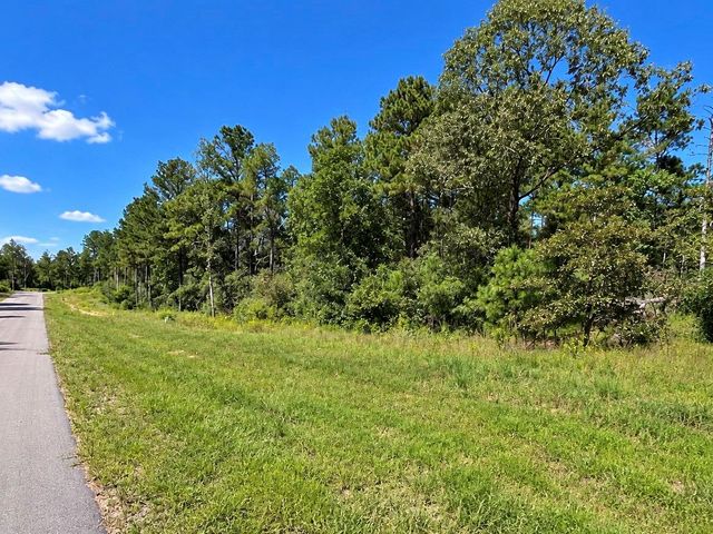 16302 Golden Wood Court, Willis, TX 77378
