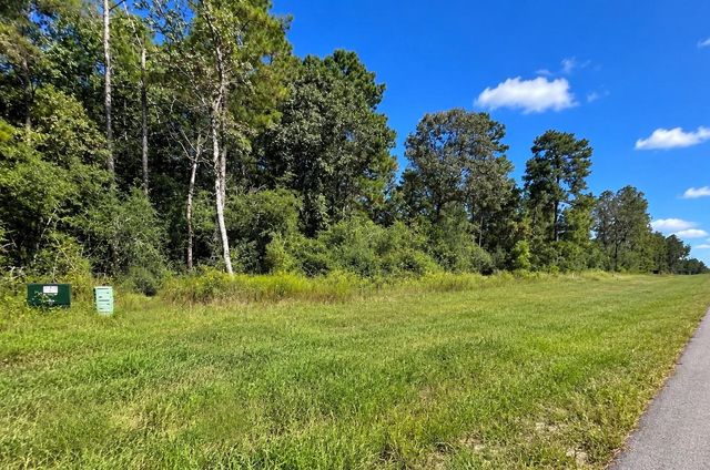 16302 Golden Wood Court, Willis, TX 77378