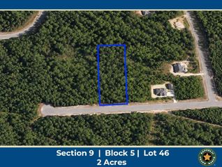 16302 Golden Wood Court, Willis, TX 77378