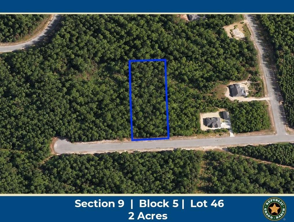 16302 Golden Wood Court, Willis, TX 77378