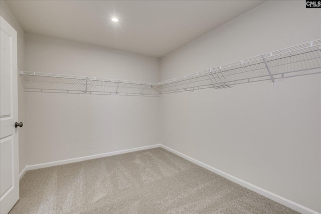 619 Griffon Drive, Chapin, SC 29036