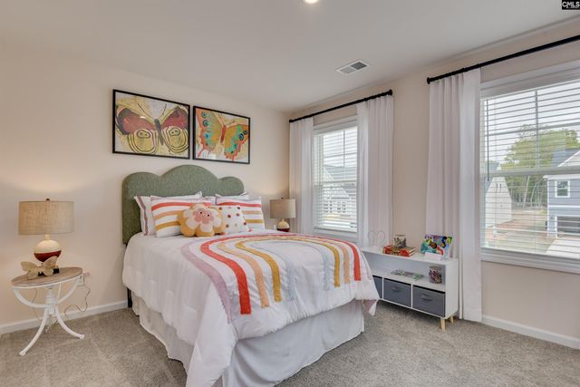 619 Griffon Drive, Chapin, SC 29036