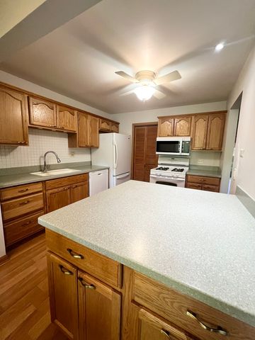 1106 Wildberry Court B1, Wheeling, IL 60090