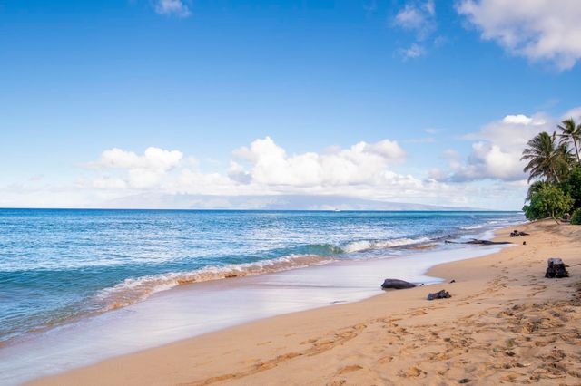 130 Kai Malina Pkwy # 424 SR 424, Lahaina, HI 96761