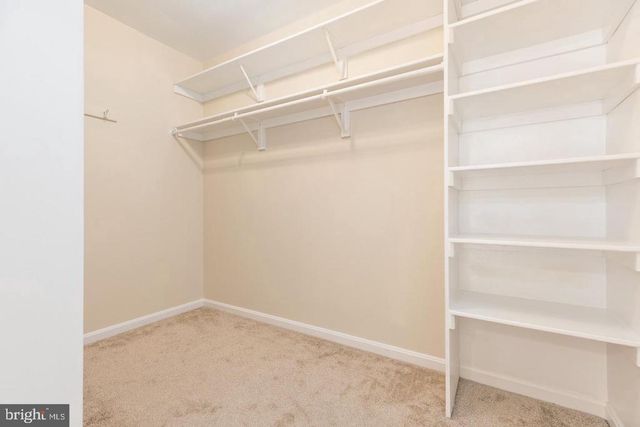 4302 CIDER BARREL CT, Fredericksburg, VA 22408