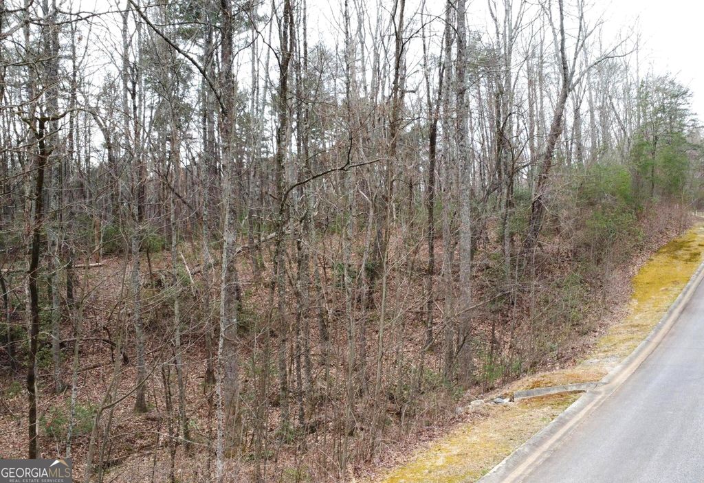 LOT 1446 Glazenwood Drive, Clarkesville, GA 30523 — photo 2
