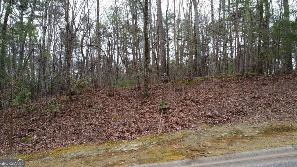 LOT 1446 Glazenwood Drive, Clarkesville, GA 30523 — photo 3